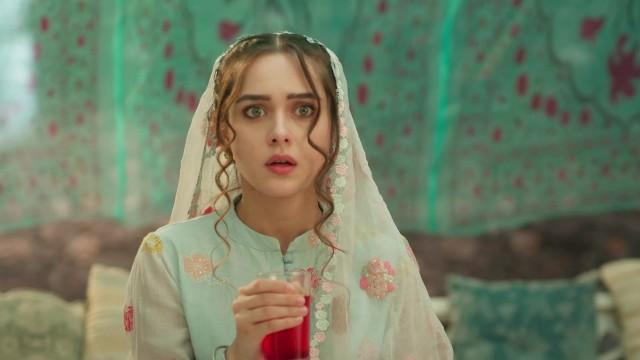 Seher Diverts Mahid's Attention