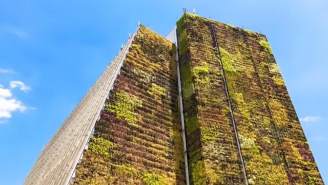 World Cities Heating Up