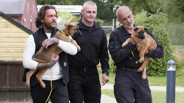 Nugget, Tetley and the Police Pups