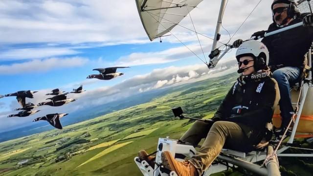Le grand air du Cantal