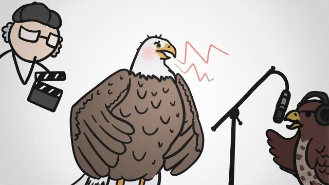 Why Eagles are Overdubbed In Movies