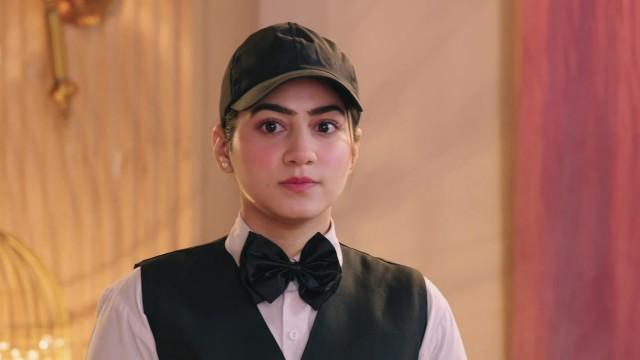 Heer's Strategic Scheme