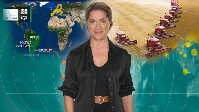 L'essentiel - Agriculture mondialisée : le meilleur et le pire