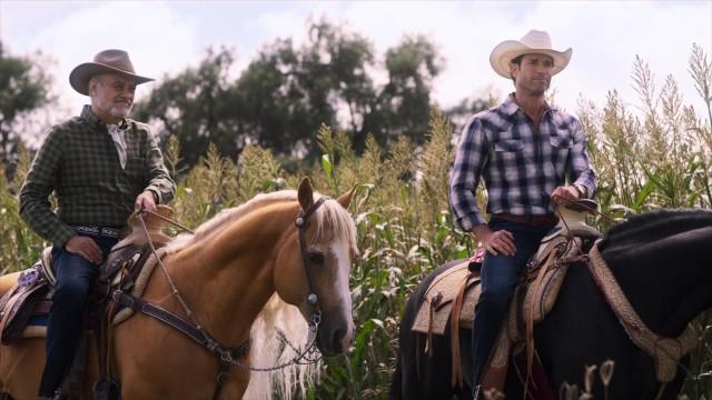 Un maldito alacrán por siempre