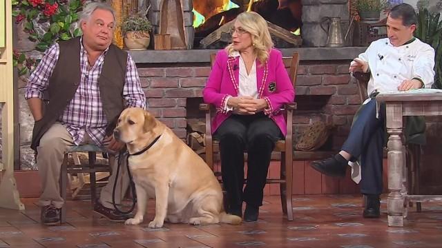 Puntata del 30/01/2026