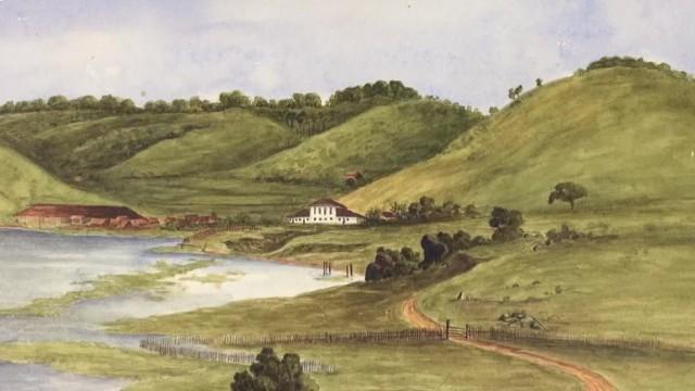 A Sociedade do Açúcar