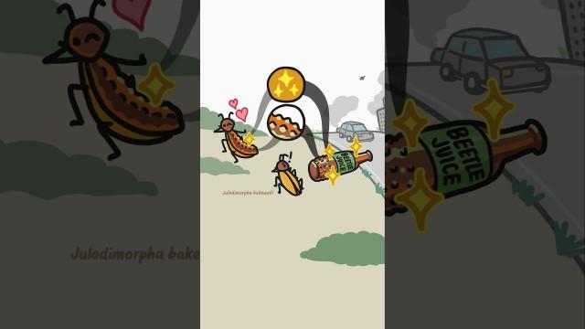 The world changed too fast for this beetle