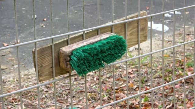 ▽こんなところでいがいなものが!