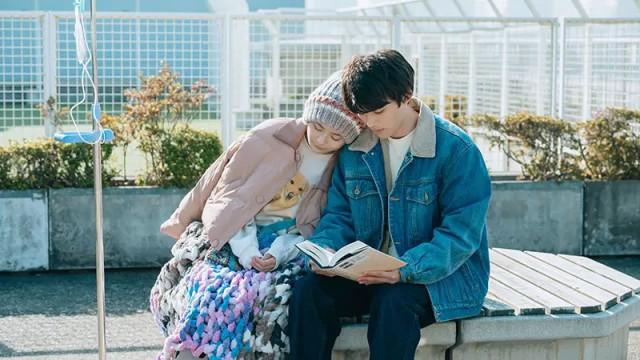 揺れる希望の中で