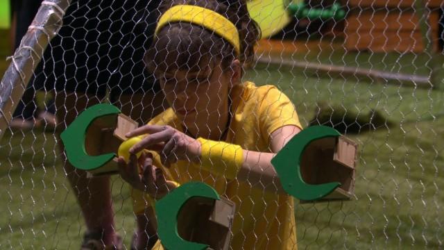 Mercredi : la quotidienne - semaine 6