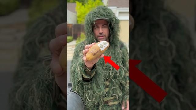 Can You Ship A Potato Through The Mail?