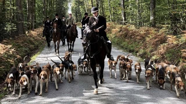 Hetzjagd in Frankreich - Bürgerliches Privileg oder Tierquälerei?