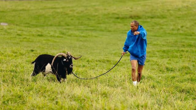 Frank er fri og dødsangst