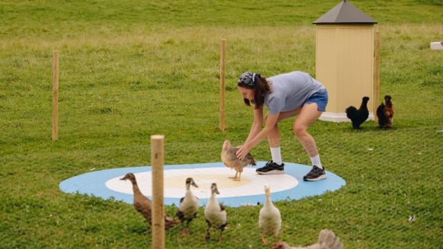 Mer høns og fransk åpning