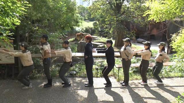 ▽アルゴリズムたいそう 動物園