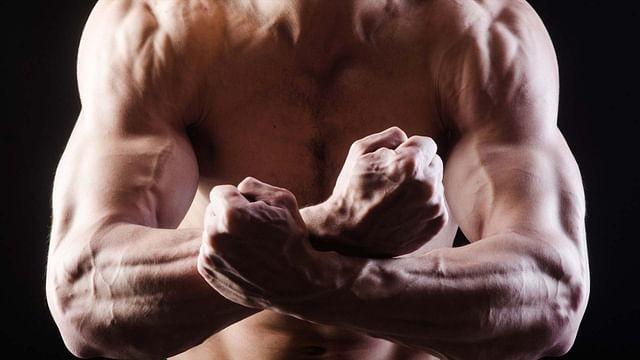 Avons-nous besoin de l'homme alpha ?