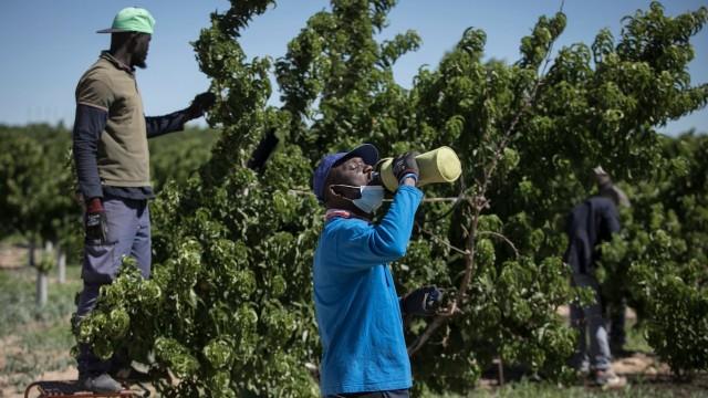 ¿Se puede defender la migración sin tener que hablar de trabajo?