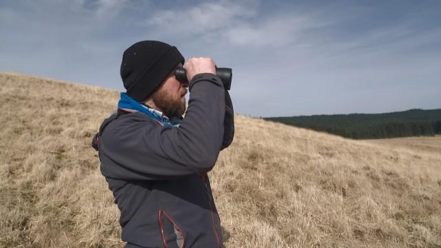 Predators in the Sky