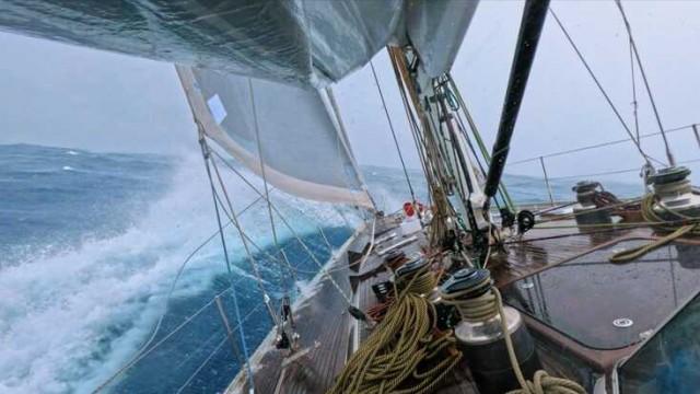 Sjösjukan är tillbaka