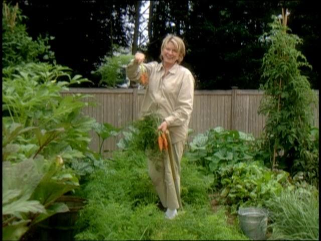 10th Anniversary Special