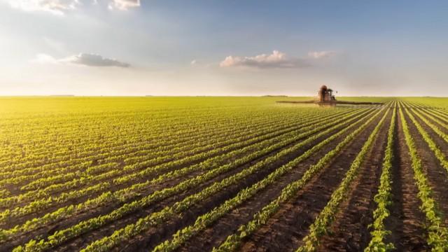 Soya: A Geopolitical Bean
