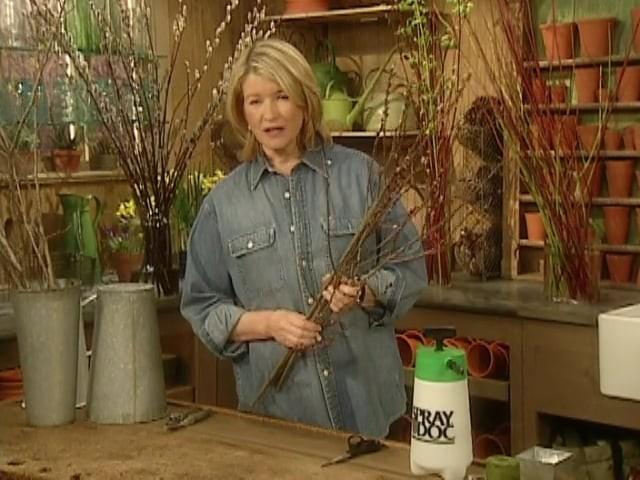 March Gardening Calendar; Spaghetti with Lime and Arugula; Pussy Willows