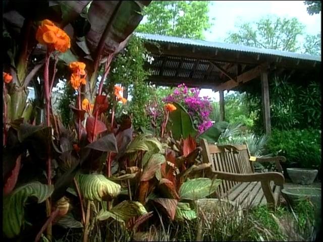 James David Private Garden; White Asparagus; Making Bird Food