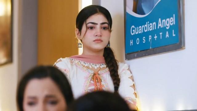 Nawab Loses Heer's Trust