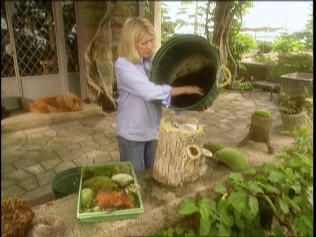 MSL Season 9 Episode 012V