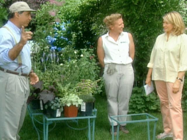 East Hampton (Field Trip)