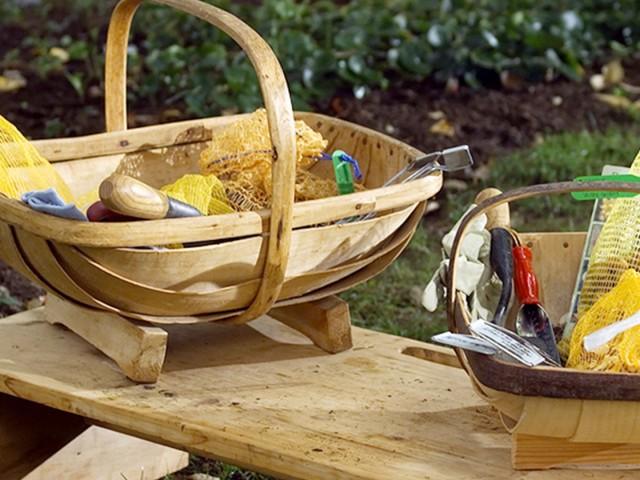 Fall Lawn and Garden