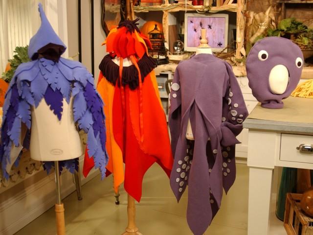 Fleece Halloween Costumes