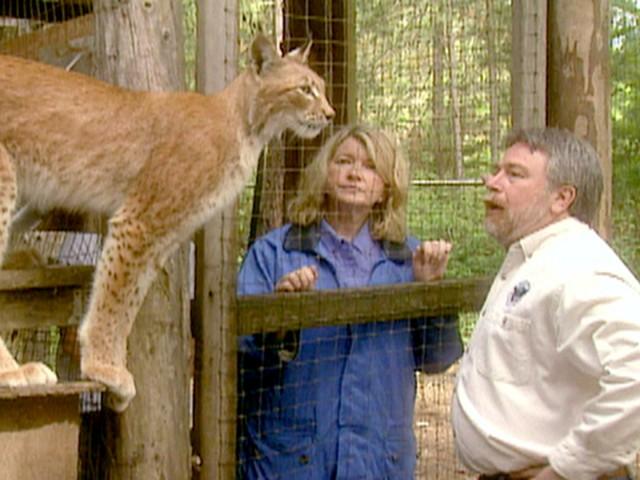 Kayaking in Oregon (Field Trip)