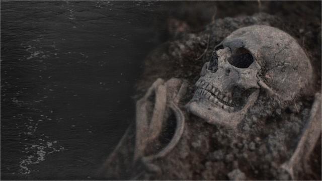 STORY OF BONES