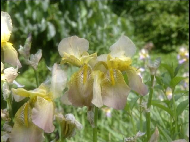 MSL Season 9 Episode 122V