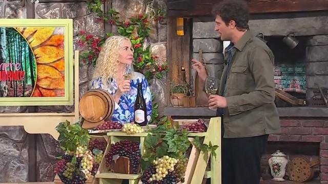 Puntata del 25/03/2026