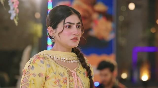 Heer Walks Away from Nawab