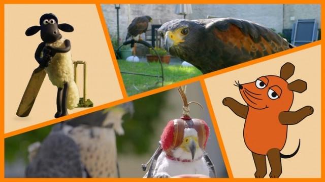 Falknerei (Teil 1) | Schneller mit Propeller | Falknerei (Teil 2) | Shaun das Schaf: Abenteuer Wildnis
