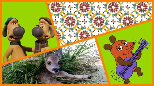 Wunderschöner Tag | Rehkitz-Rettung (Teil 1) | Rehkitz-Rettung (Teil 2) | Shaun das Schaf: Nicht ganz der Vater
