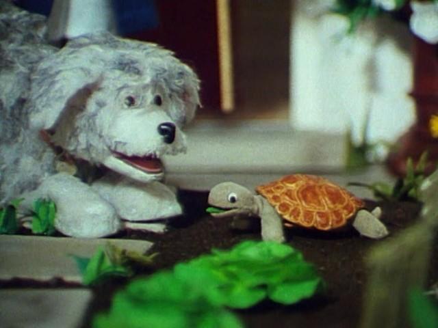Tortoise