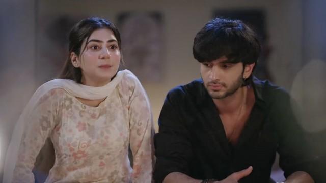 Nawab Cares for Heer