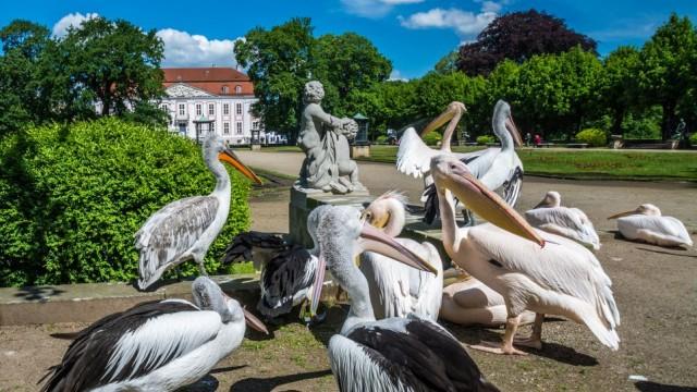 Tierpark Berlin