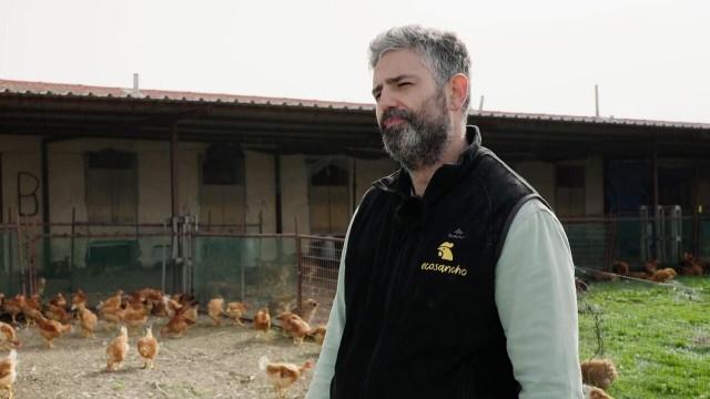 ¿Qué pollo estamos comiendo?