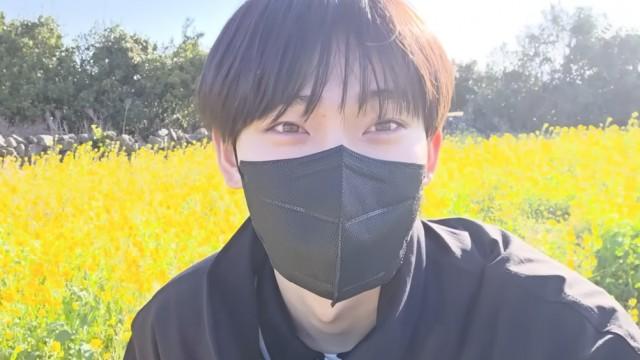 Trip to Jeju Island & Osaka | SUNOO VLOG