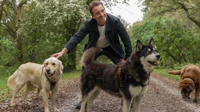 D’où viennent les chiens à la mode ?
