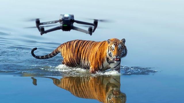 Episode 1