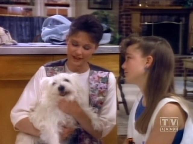 Bingo Was Her Name-O