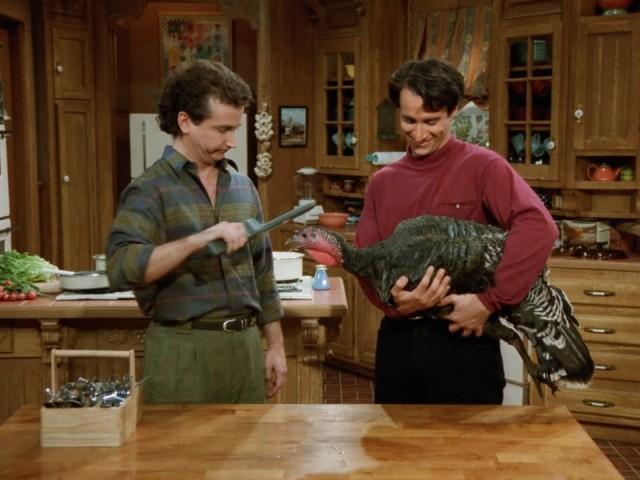 Wild Turkey