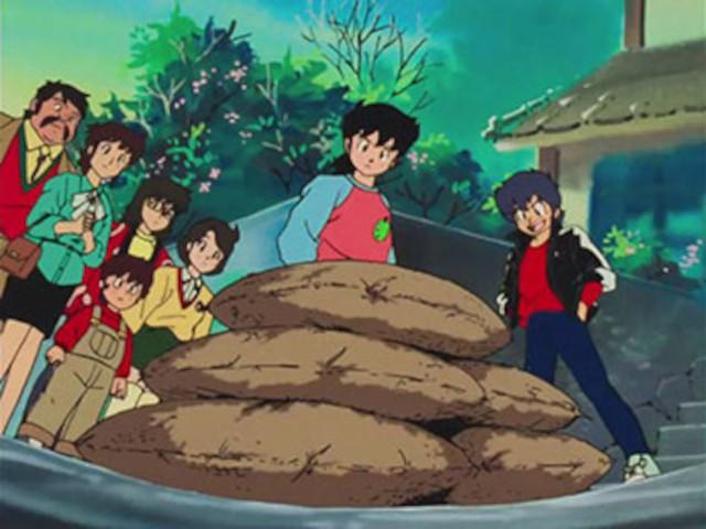 Mysterious Taste King Grand Prix: Trying Out Tofu Dishes!