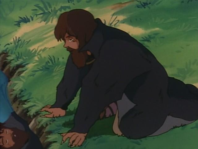 Bearskin